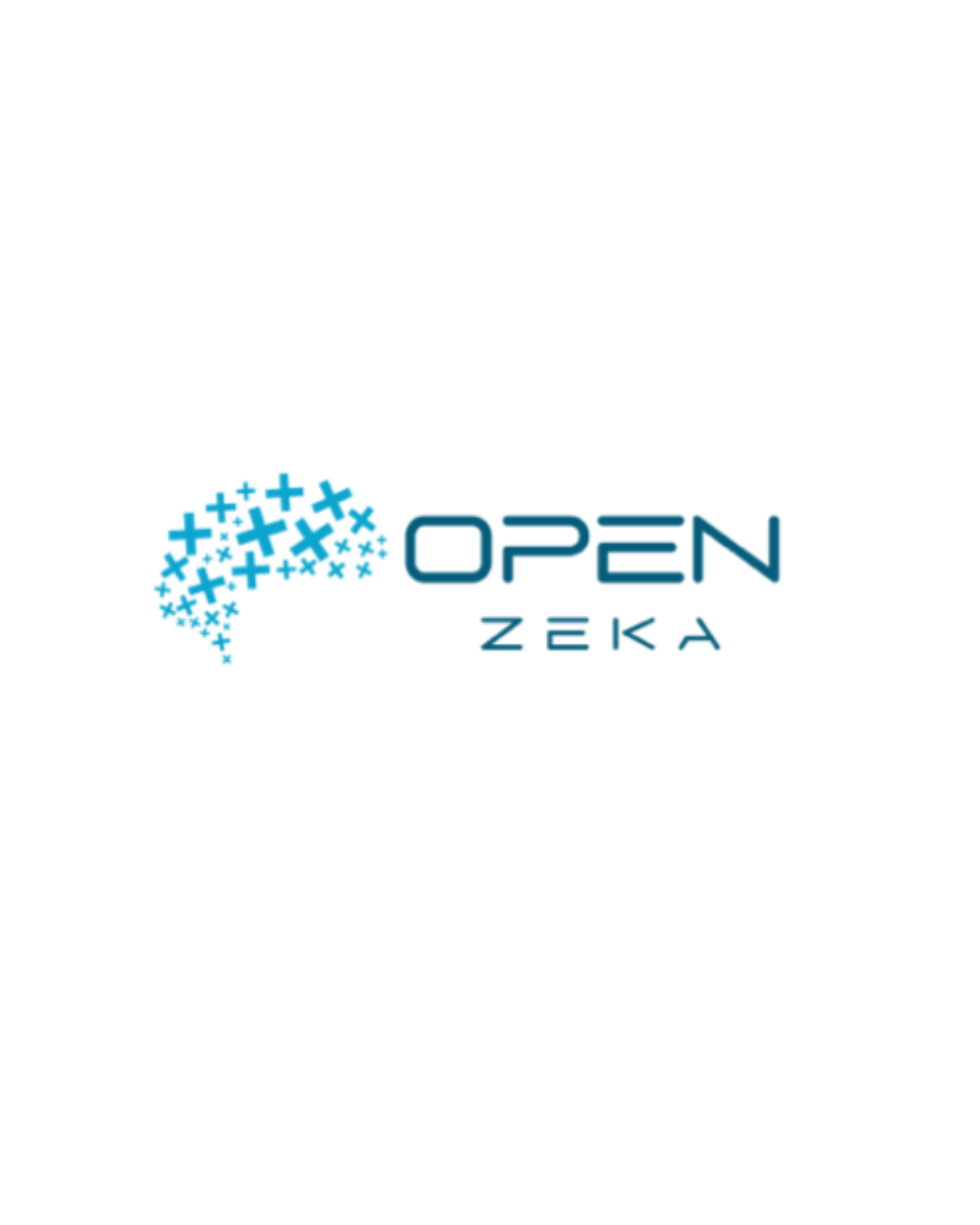 openzeka